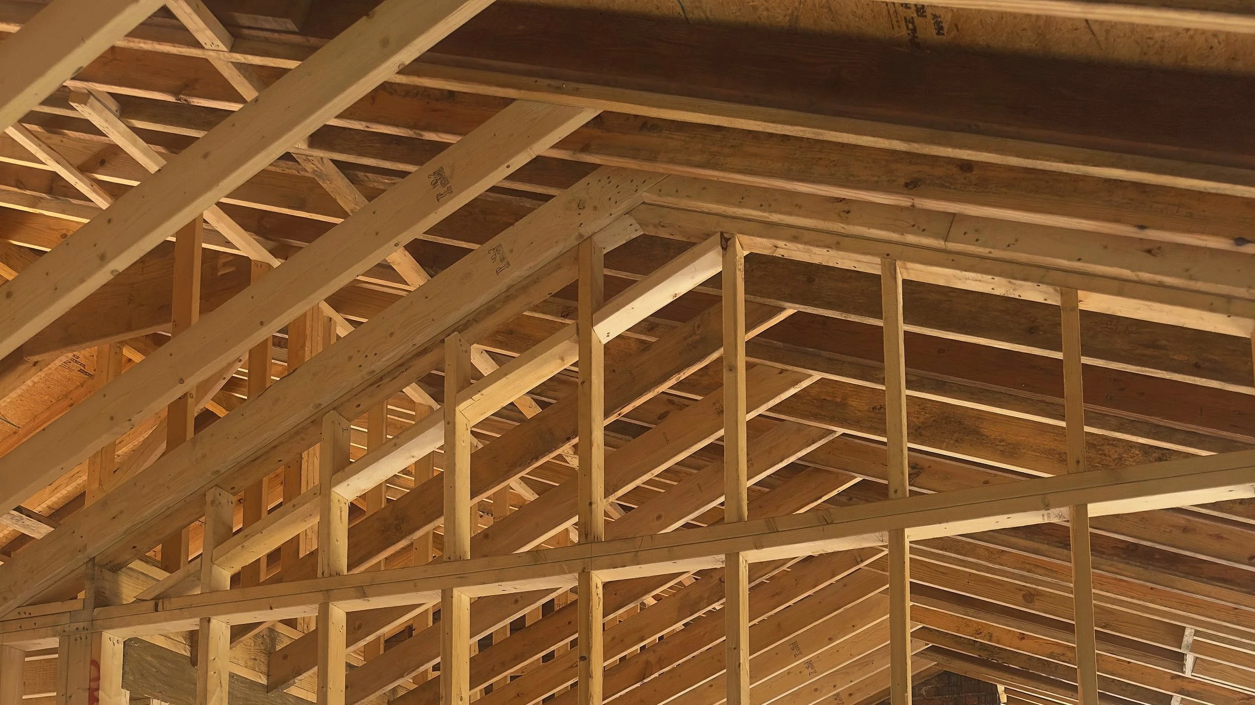 Interior view of exposed wooden roof framing with rafters and beams in a building under construction.
